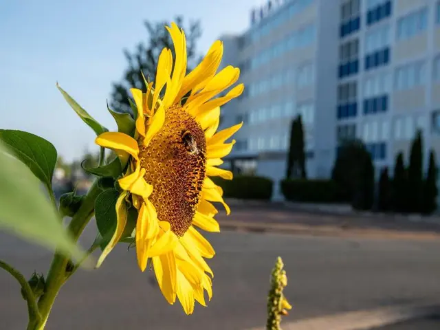 PROHotel Laatzen-Hannover
