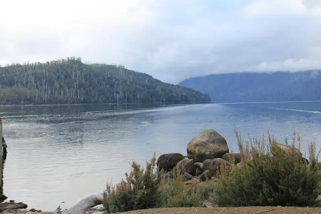 Lake St Clair Lodge