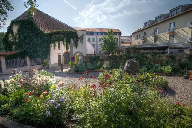 Zeiskamer Mühle
