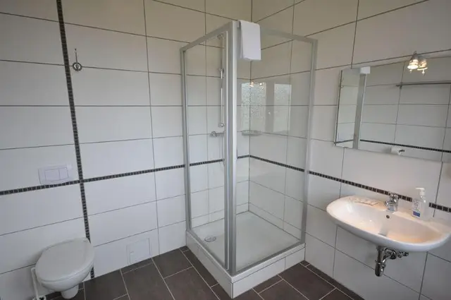 Drei Bären