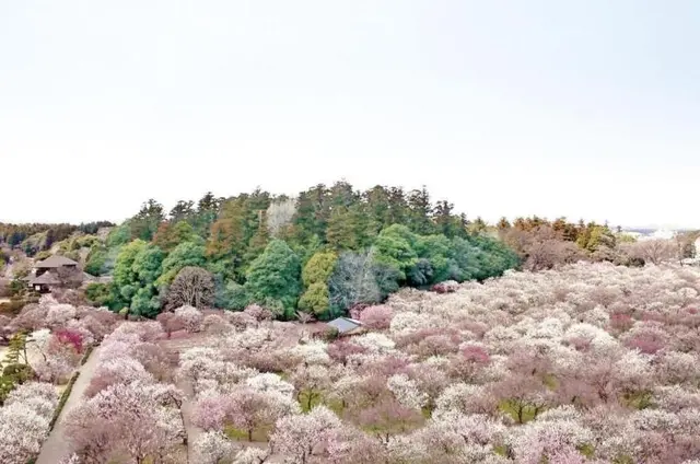 Mito Keisei Hotel