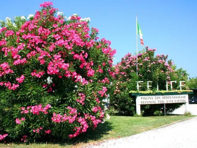 La Pigna