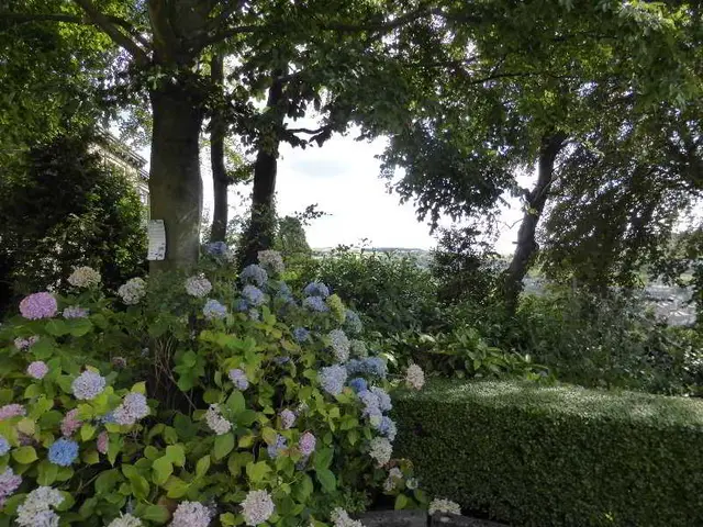 Ashmount Country House