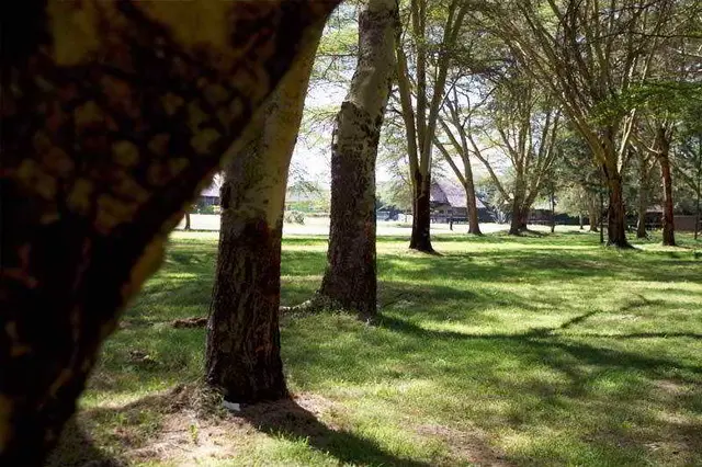 Lake Naivasha Resort