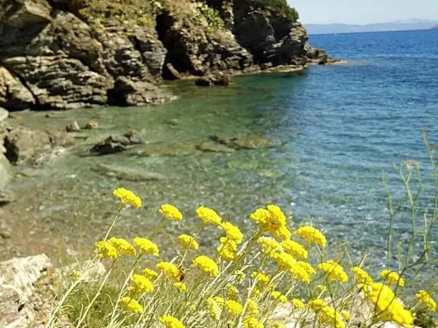 Rio sul Mare