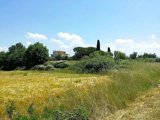Villa Lavinia