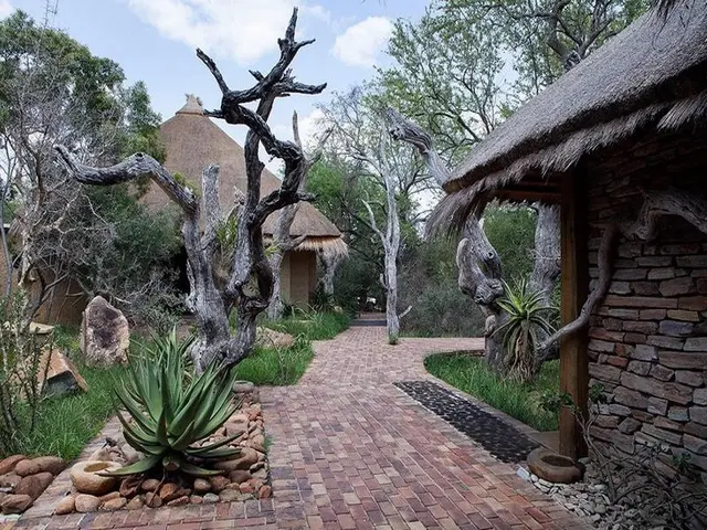 Jabulani Safari