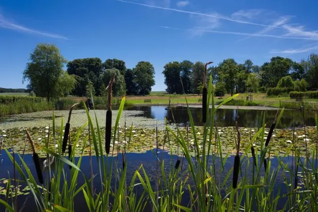 Schlossgut Gross Schwansee