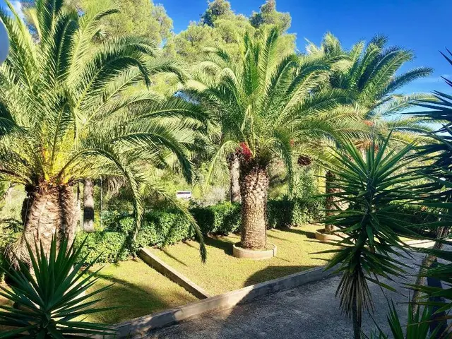 La Valdana