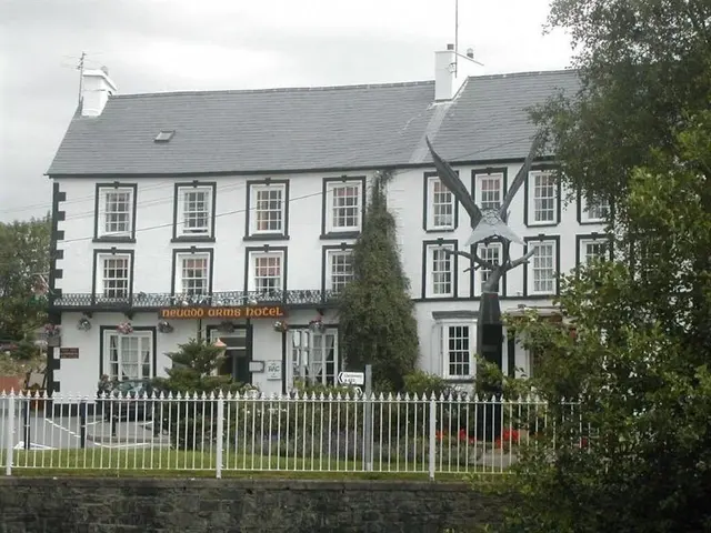 Neuadd Arms