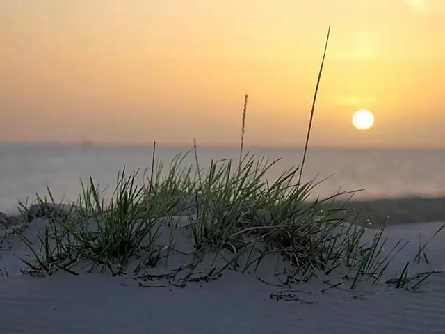 Strandperle