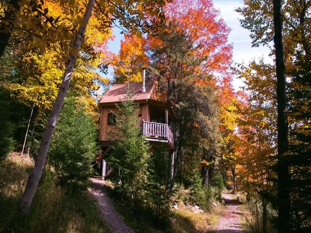 Auberge du Trappeur