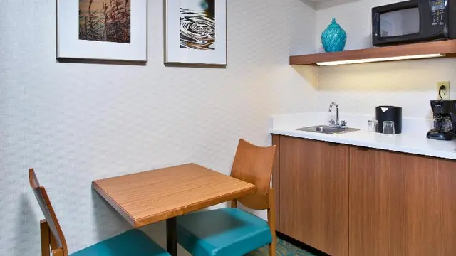 Springhill Suites By Marriott Chicago Elmhurst/Oak