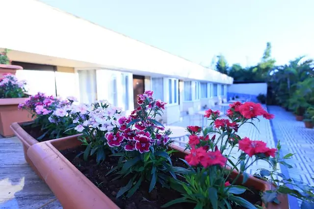 King Garden Hotel