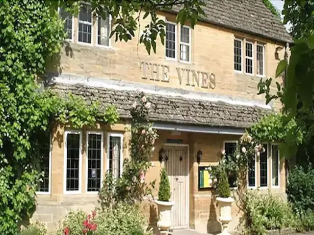 The Vines