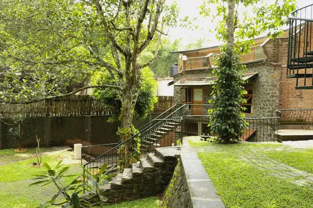 Wildernest