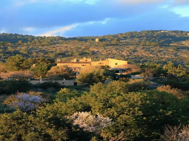 Finca Son Malero
