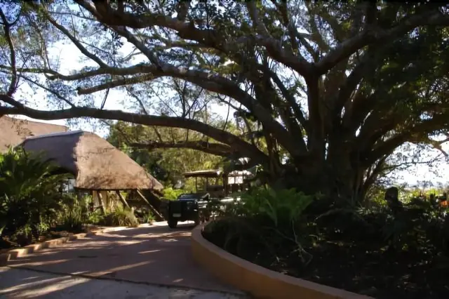 Inkwenkwezi