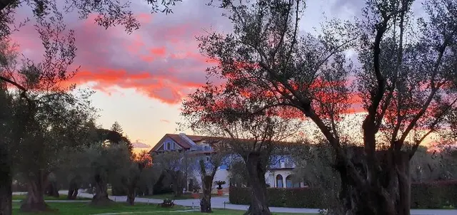 Uliveto Principessa Park