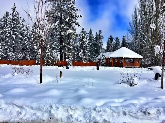 Bear Creek Resort