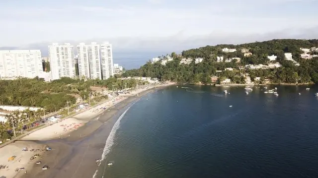Palmar