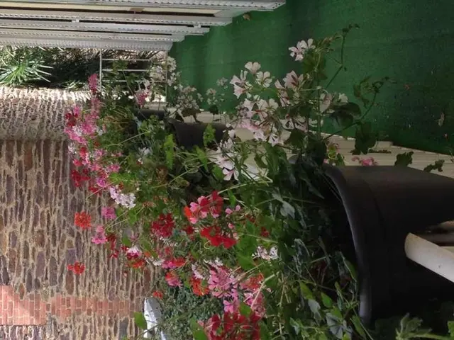 Garden Rennes