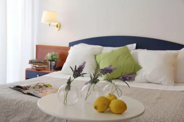 Residence Mimosa