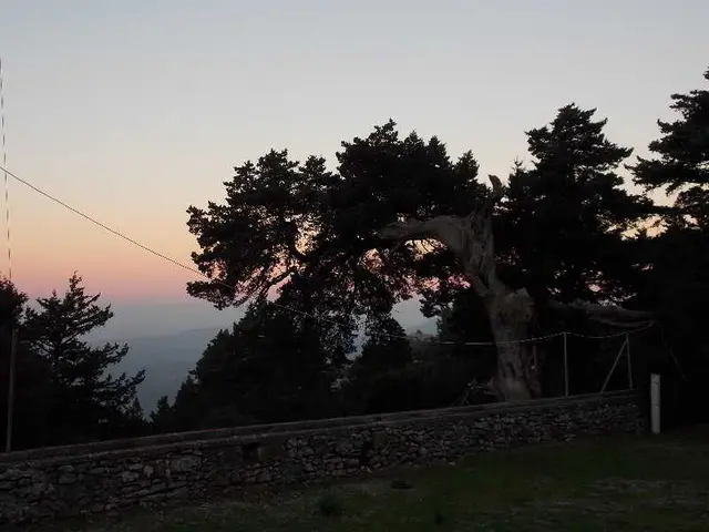 Elafos Hotel