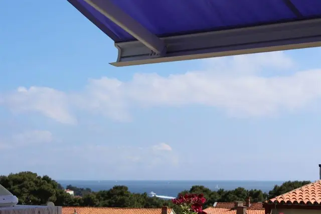 Violeta Hvar