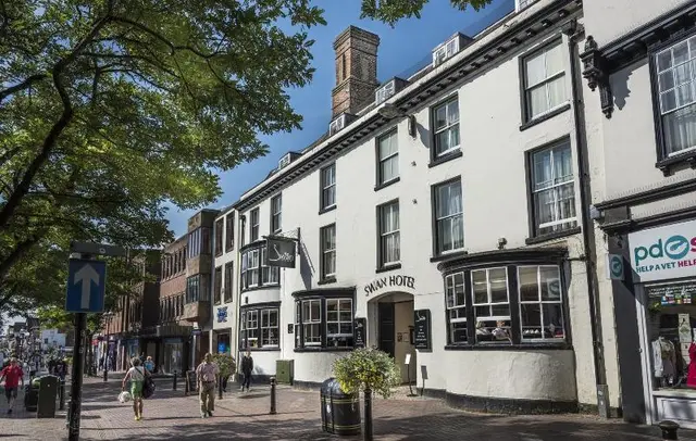 The Swan
