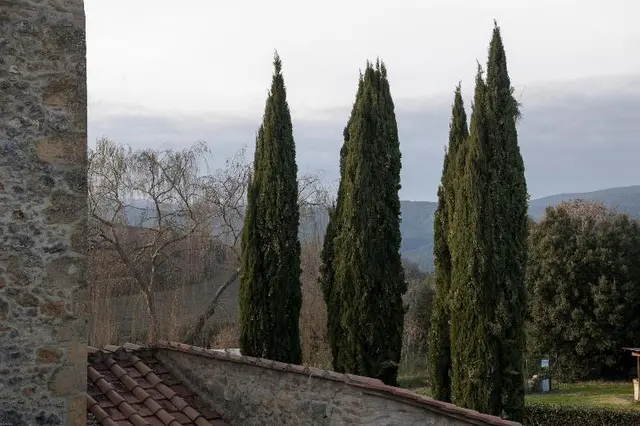 Il Borgo di Mariano