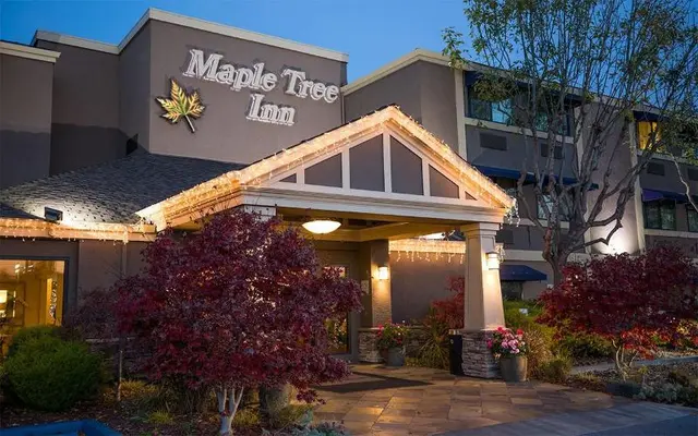 Maple Tree Inn