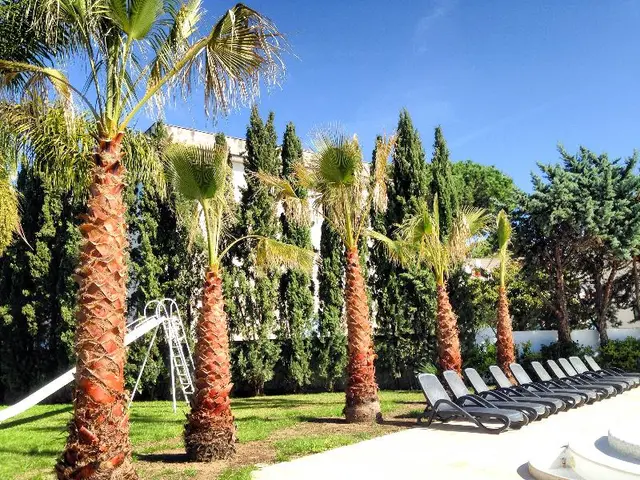 Le Palme