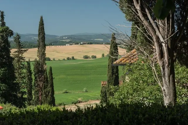 Tenuta Di Mensanello