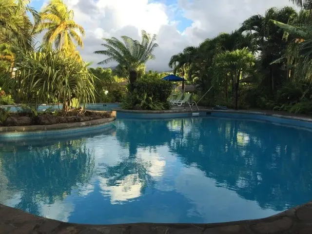 Young Island