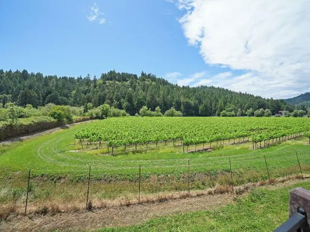 West Sonoma Inn & spa