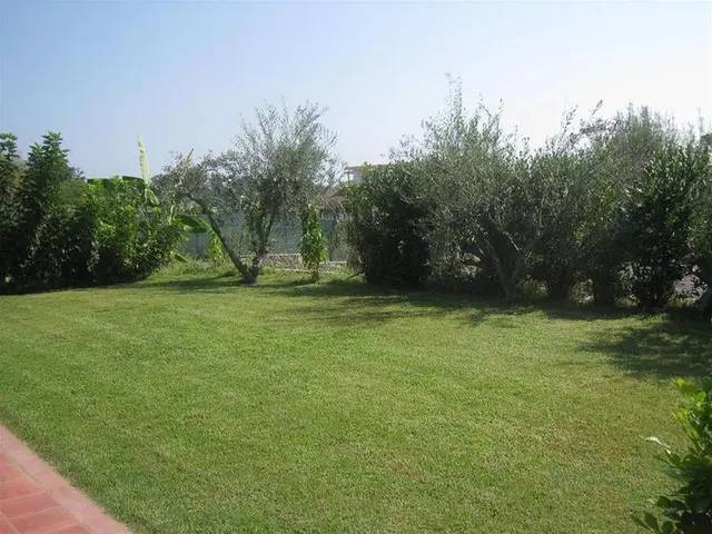 Villa delle Palme