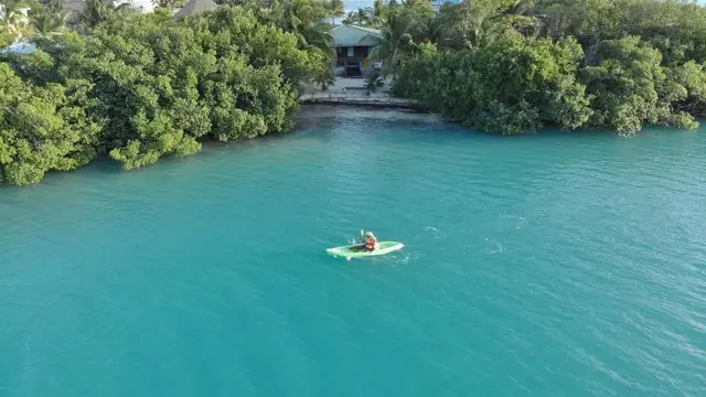 Royal Palm Island