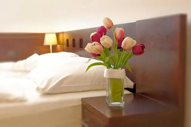 Best Western Tulipan