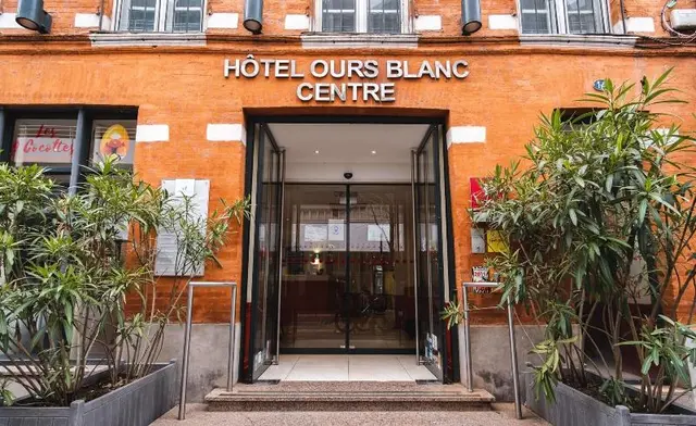 Ours Blanc Toulouse Centre