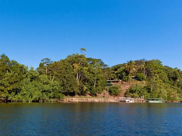 Daintree Riverview