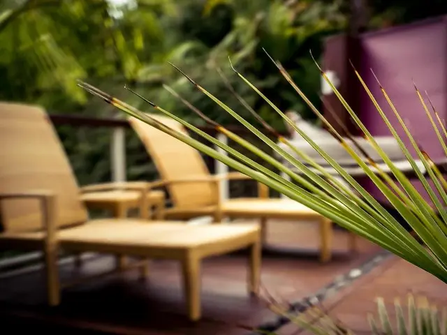 Sanctuary Palms Apartments