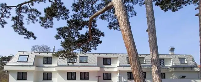 Springer Schlößl