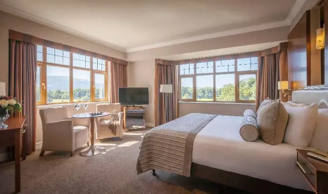 The Brehon