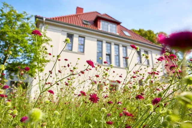 Ferienwohnungen Gutshof Vorbeck