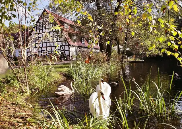 Springbachmühle