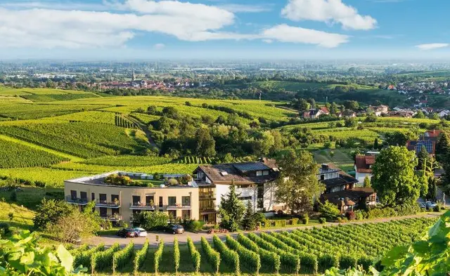 Rebenhof
