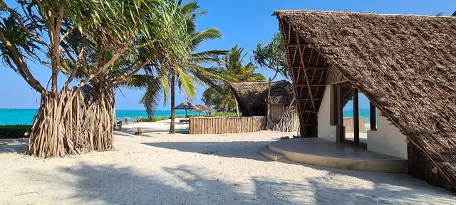The Zanzibari