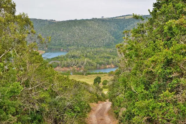 Sibuya Game Reserve & Lodge (Pty) Ltd