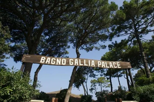 Gallia Palace